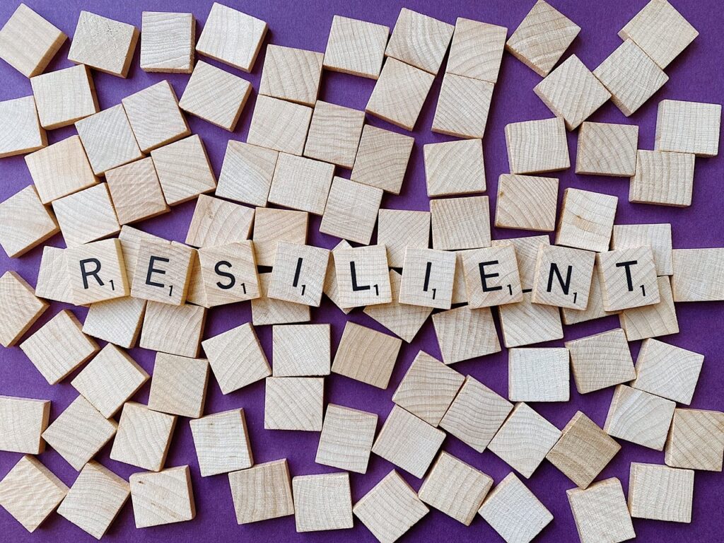 CAPACIDAD DE RESILIENCIA